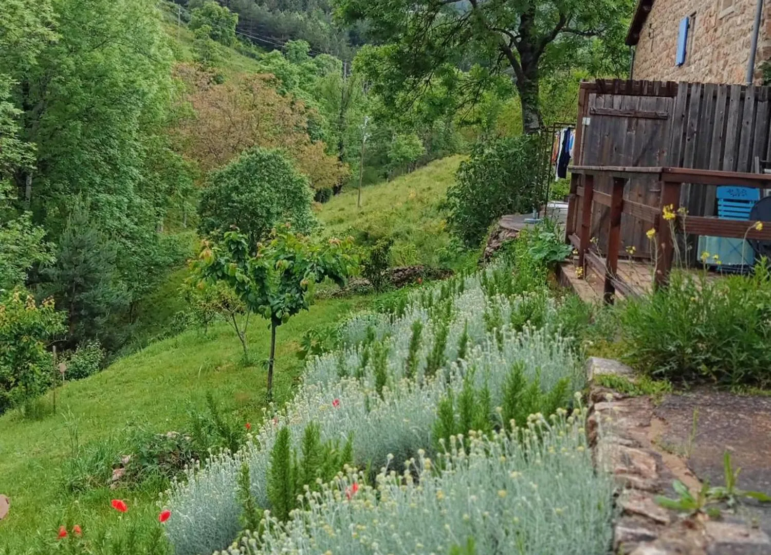 Au Jardin Retrouve Bed & Breakfast Vaudevant