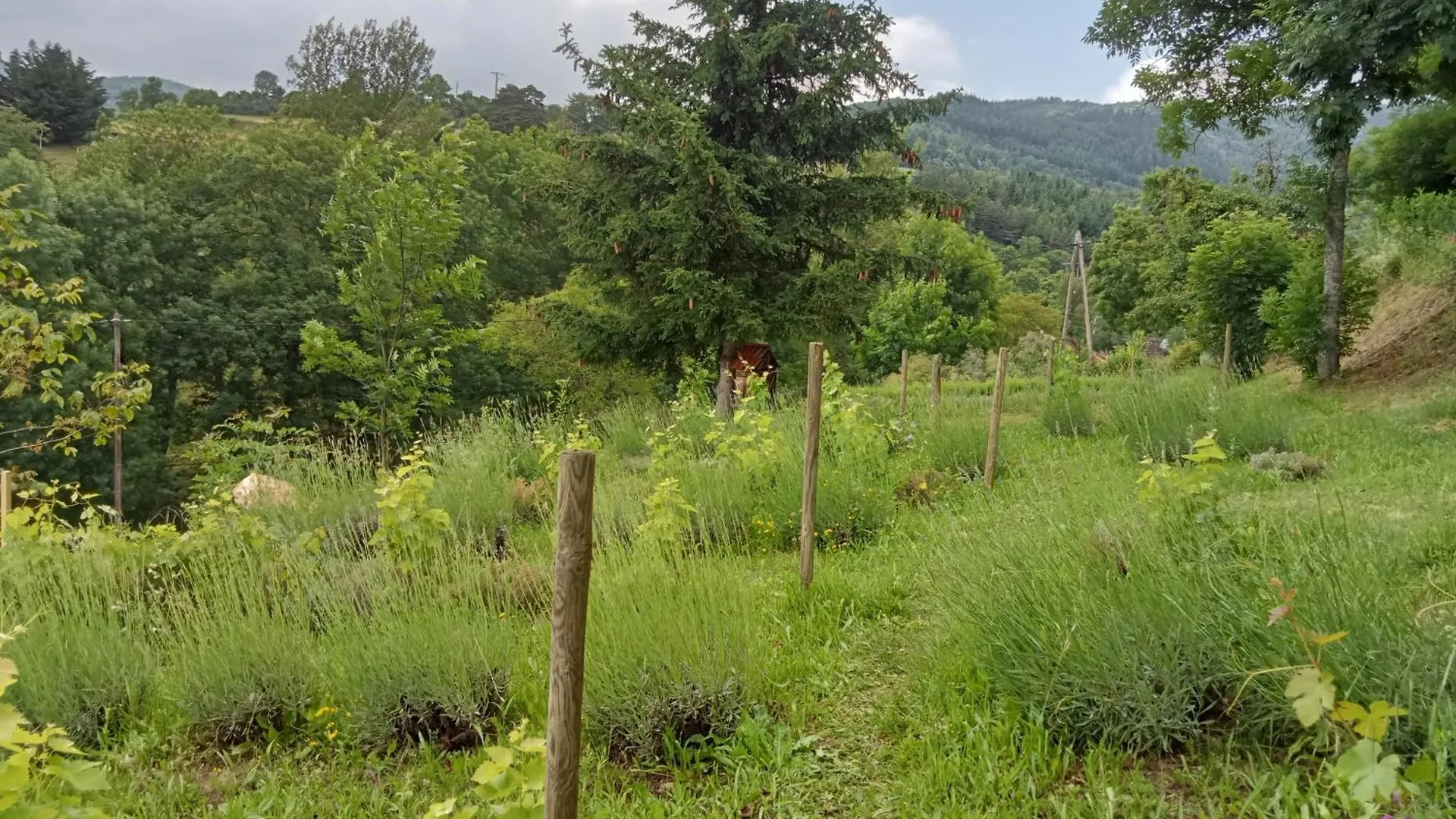 Au Jardin Retrouve Bed & Breakfast Vaudevant 0*,  France