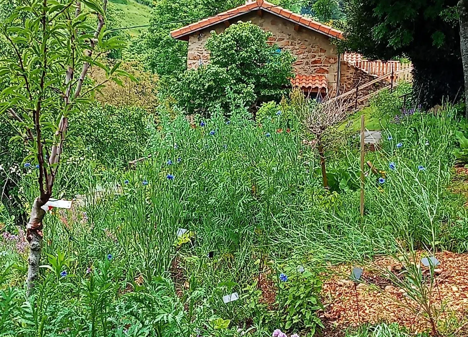 Au Jardin Retrouve Bed & Breakfast Vaudevant France